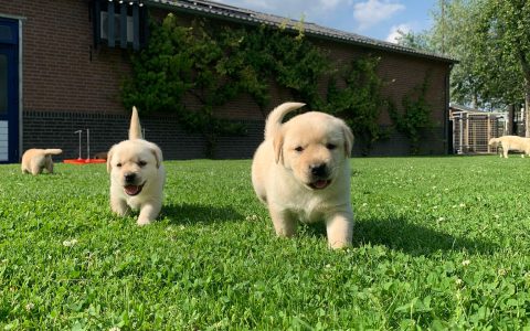 20250623_185946406_iOS