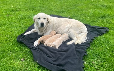 20250623_190034963_iOS